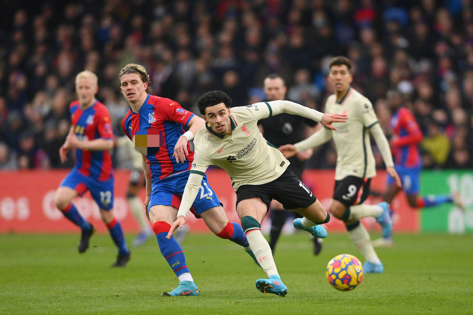 河南嵩山龙 河南嵩山龙